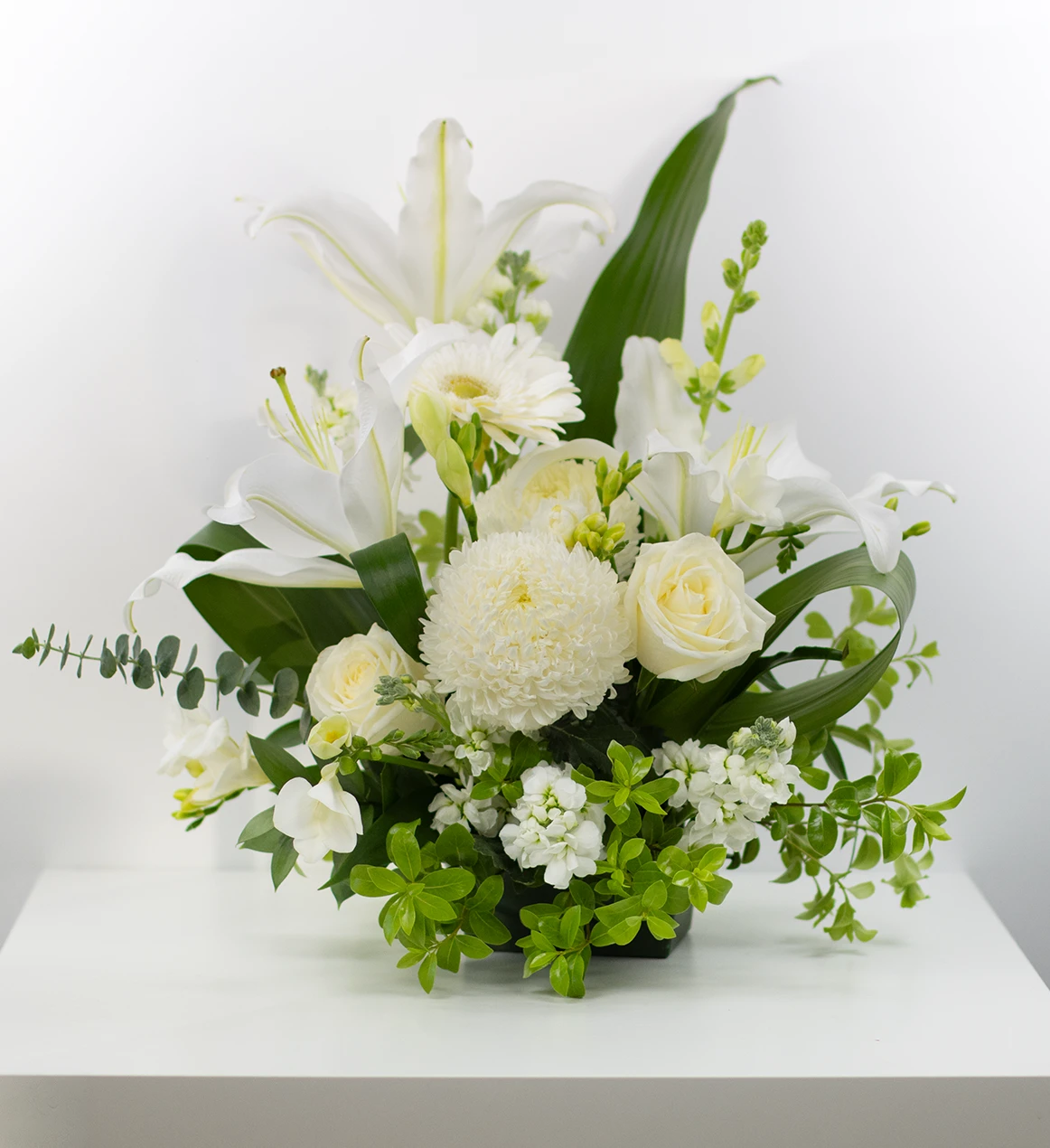 Timeless White