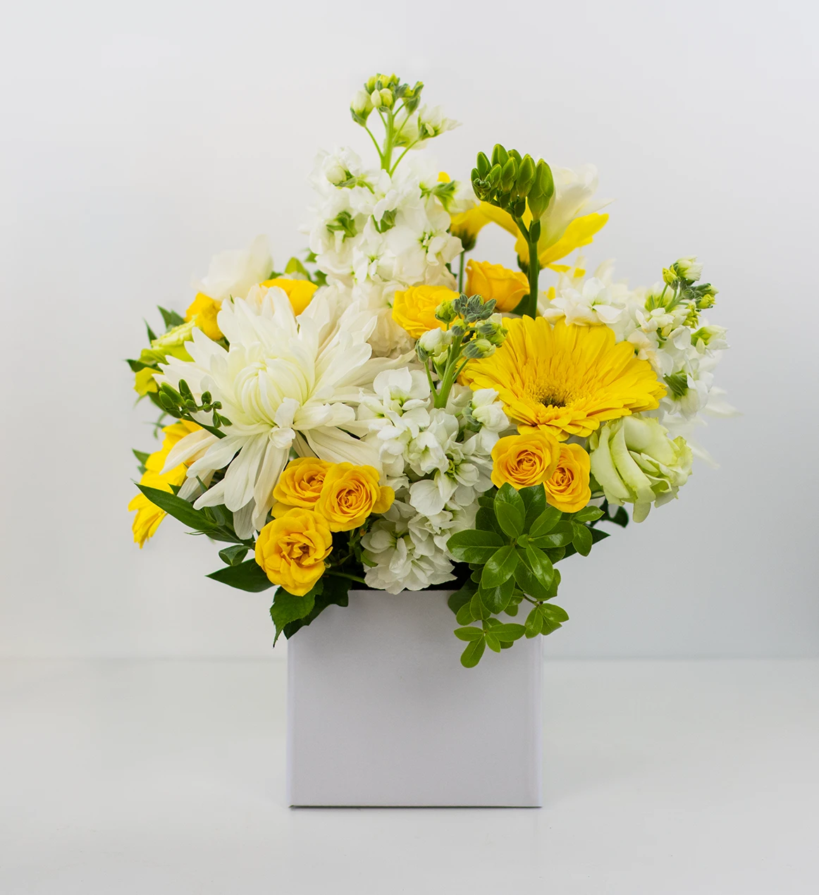 Joyful Blooms